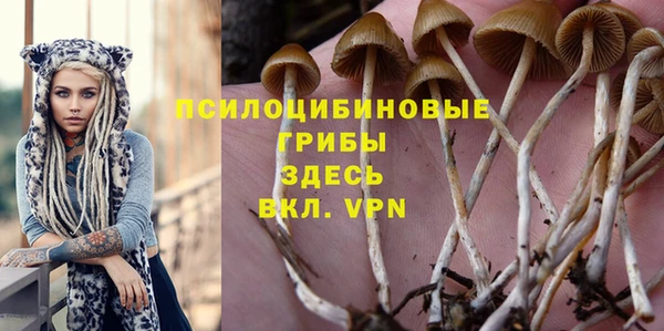прущие грибы Алексин
