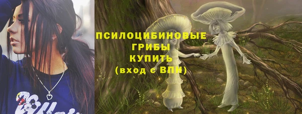 прущие грибы Алексин